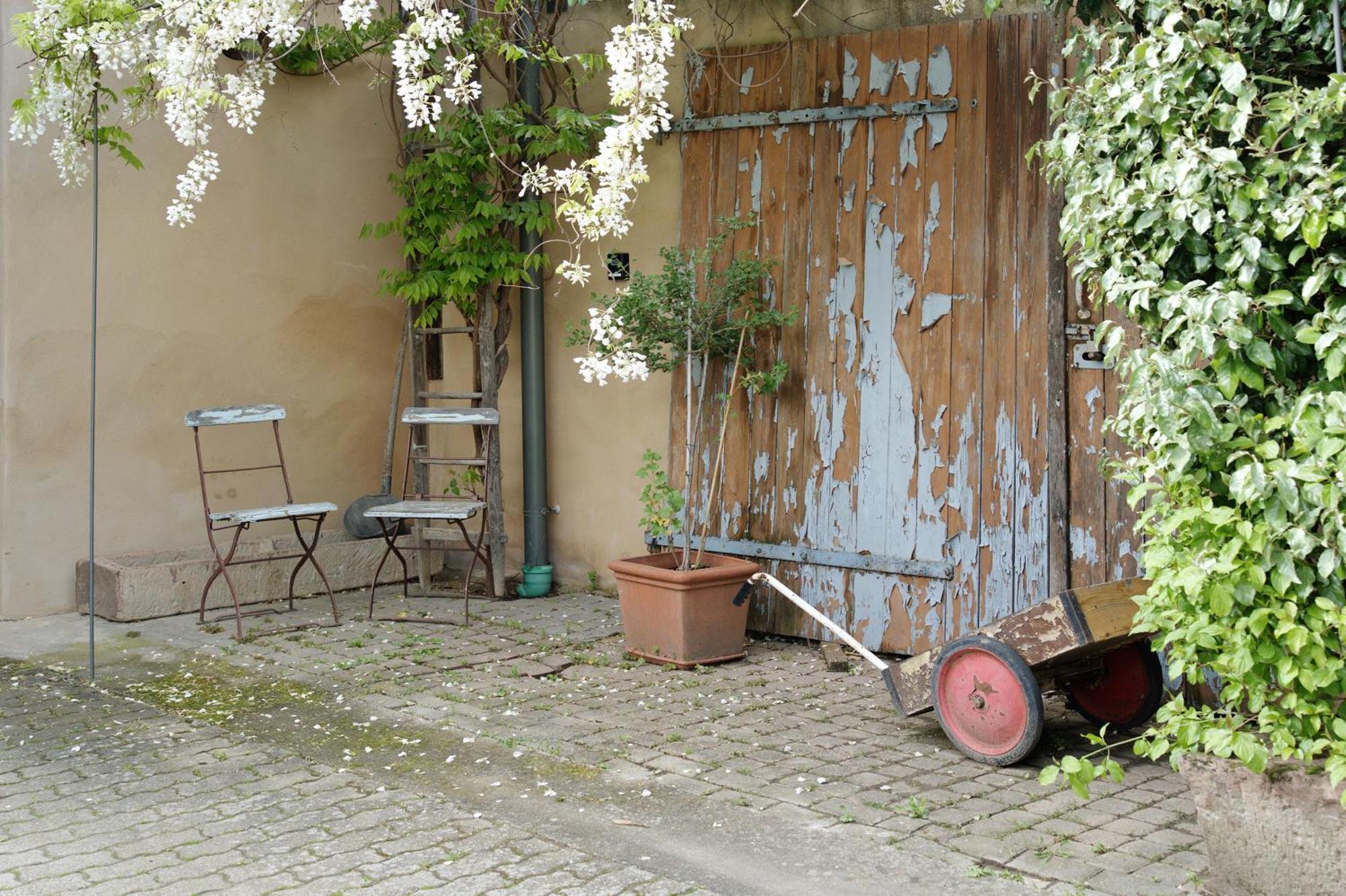 Loft Im Kuenstlerhaus Apartment Riegel am Kaiserstuhl Exterior photo