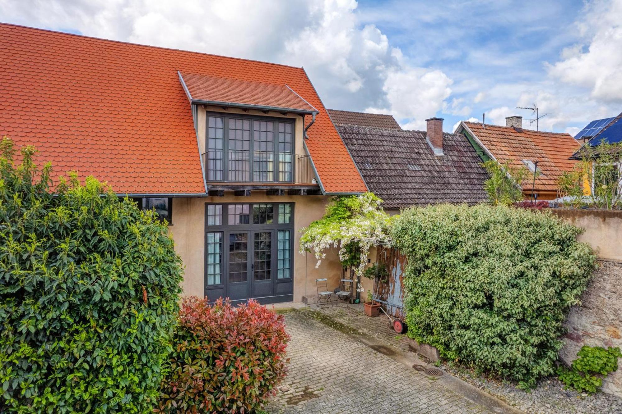 Loft Im Kuenstlerhaus Apartment Riegel am Kaiserstuhl Exterior photo